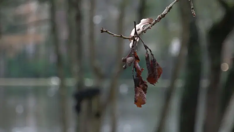Hoofdafbeelding voor artikel Uitzonderlijk warm weer voorbode…