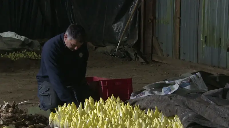 TVL Nieuws, 11 december 2025