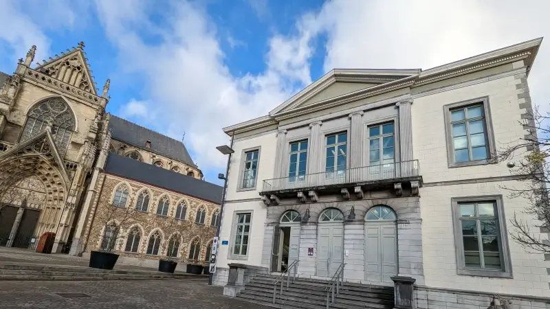 Hoofdafbeelding voor artikel Drie broers krijgen werkstraffen…