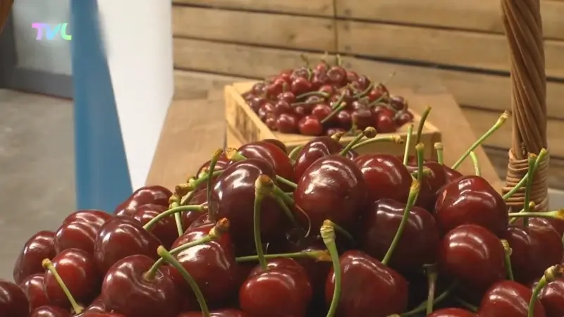 Hoofdafbeelding voor artikel Vlaamse coalitiepartners CD&V…