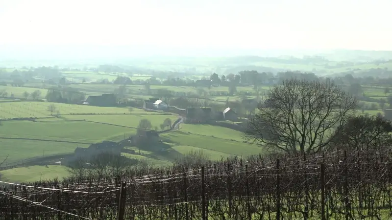 Hoofdafbeelding voor artikel Minimale landschapsimpact…