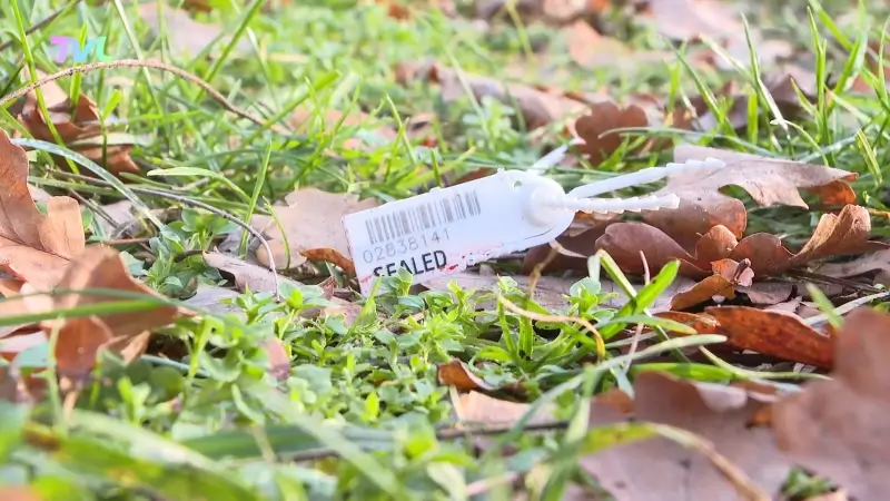 Hoofdafbeelding voor artikel Buurt niet verrast na schietpartij…