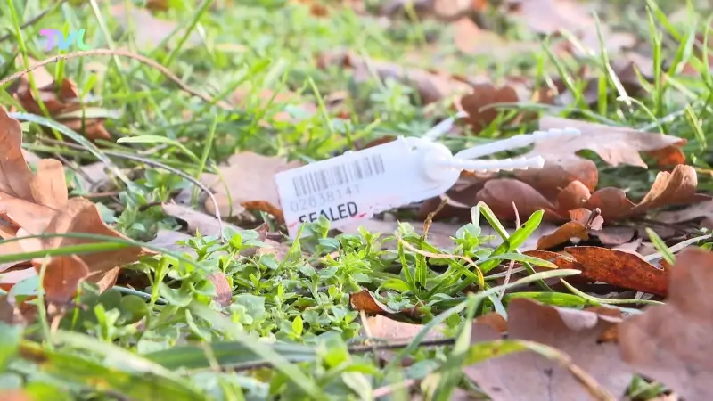 Hoofdafbeelding voor artikel Drie verdachten van schietpartij…