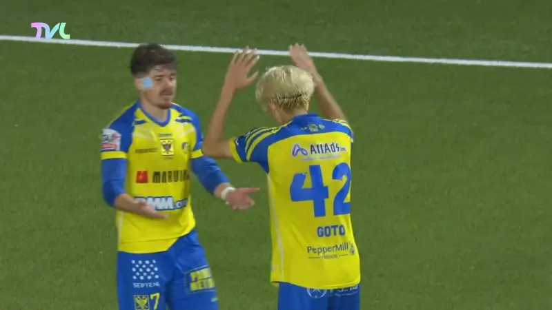 Hoofdafbeelding voor artikel STVV blikt vooruit naar de…