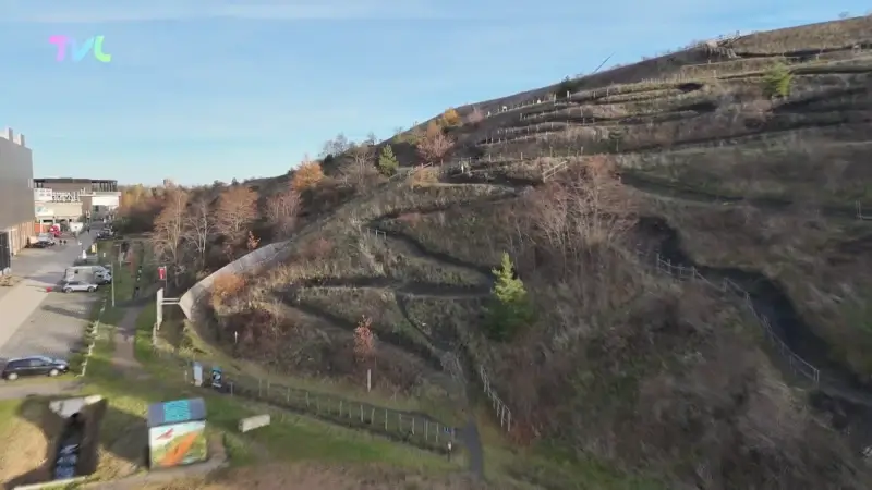 Hoofdafbeelding voor artikel Groeiende vraag naar beleving…