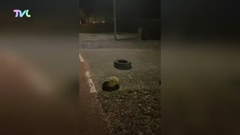 Hoofdafbeelding voor artikel Bestelwagen dumpt meer dan…