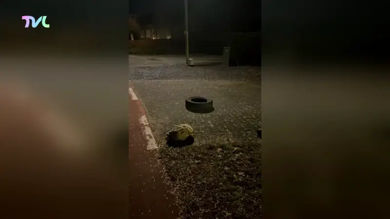 Hoofdafbeelding voor artikel TVL Nieuws, 31 december 2025