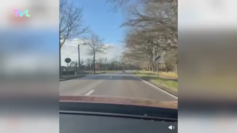 Hoofdafbeelding voor artikel KIJK NU: Man filmt wolf die…