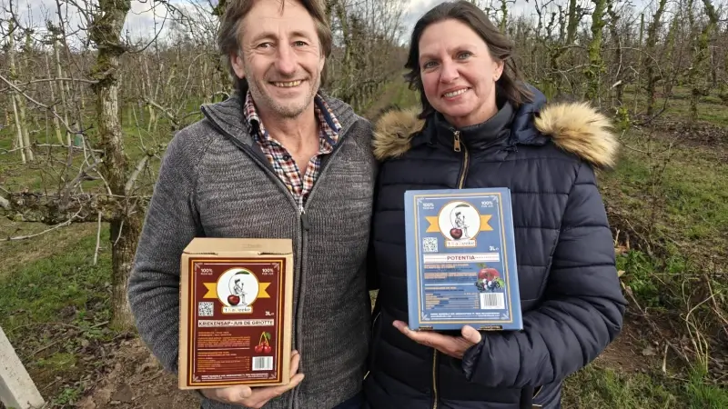 Hoofdafbeelding voor artikel Vraag naar vruchtensappen…