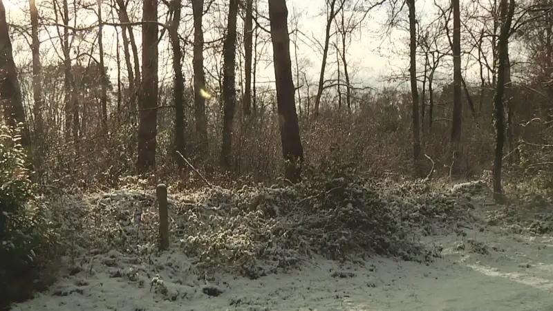 Hoofdafbeelding voor artikel Weerman Ron Cornelissen: "Komende…