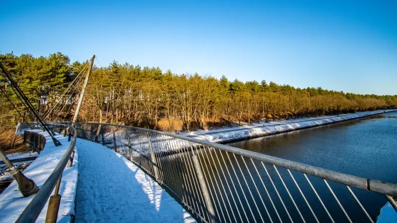 Hoofdafbeelding voor artikel LIVEBLOG: Limburg kleurt wit