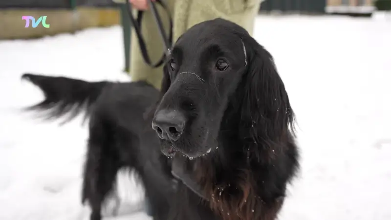 Hoofdafbeelding voor artikel TVL Nieuws, 5 januari 2026
