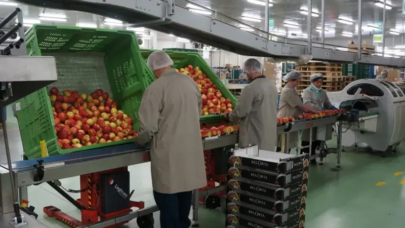 Hoofdafbeelding voor artikel BelOrta draait &euro;631 miljoen…