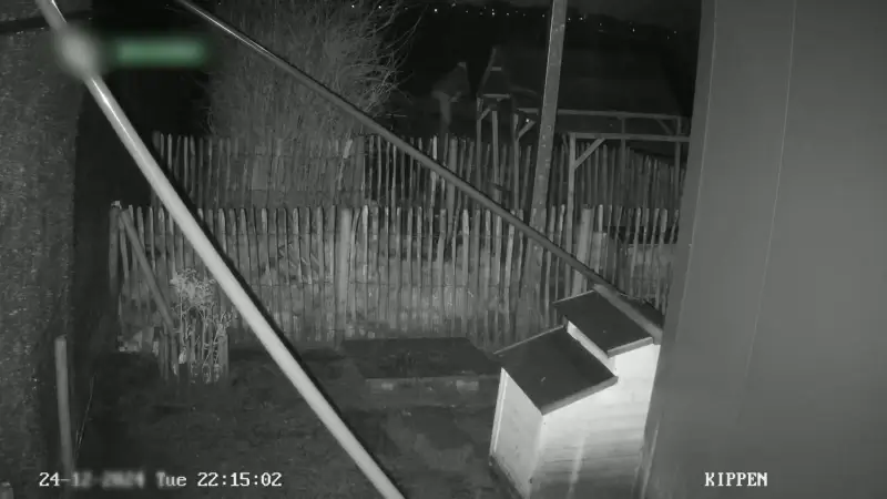 Hoofdafbeelding voor artikel Roemeense duivendievenbende…