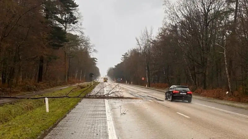 Hoofdafbeelding voor artikel Storm Goretti raast over Limburg:…