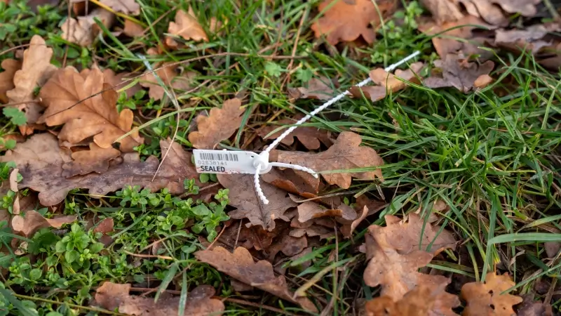 Hoofdafbeelding voor artikel Zes verdachten opgepakt na…