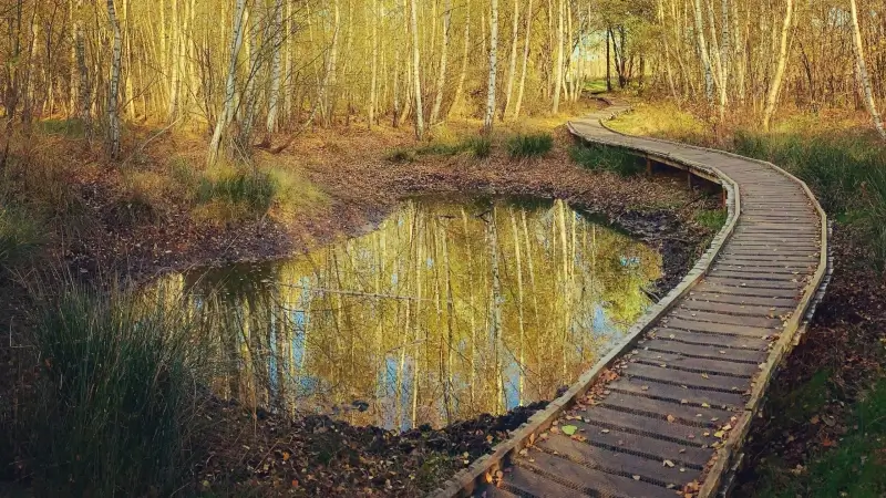 Hoofdafbeelding voor artikel Domein Kiewit zoekt helpende…