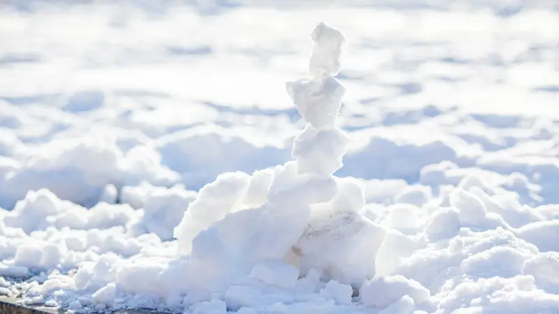 Hoofdafbeelding voor artikel Vers sneeuwtapijt in Limburg,…