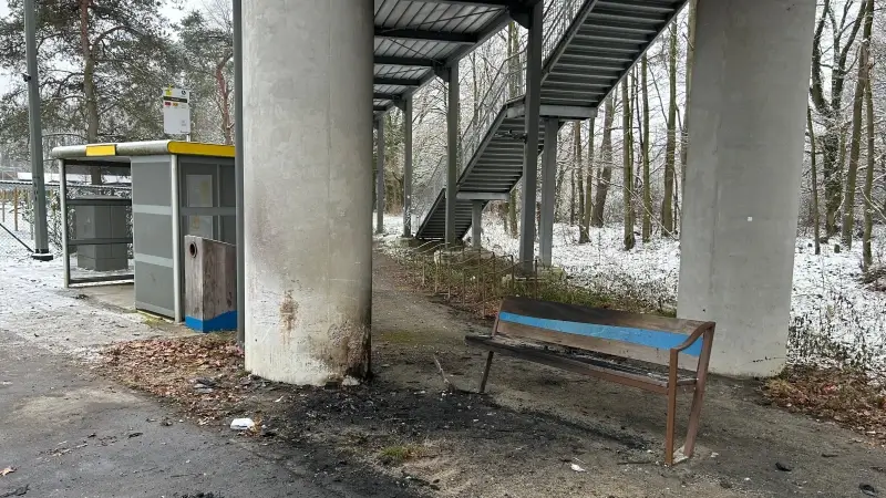 Hoofdafbeelding voor artikel Autobestuurder komt om na…