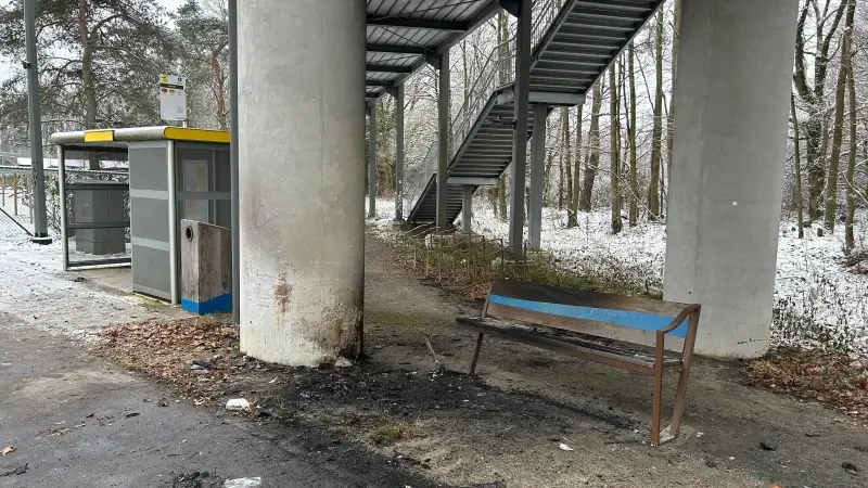 Hoofdafbeelding voor artikel Autobestuurder komt om na…