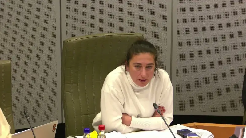 Hoofdafbeelding voor artikel Walter Pauli: "Dit zal niet…