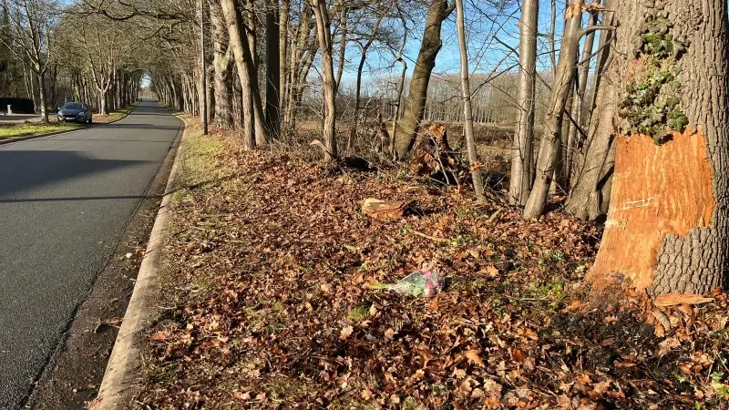 Hoofdafbeelding voor artikel Twintiger komt om het leven…