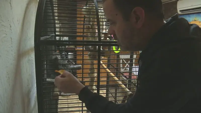 Hoofdafbeelding voor artikel Oproep om vrijstelling gordelplicht…