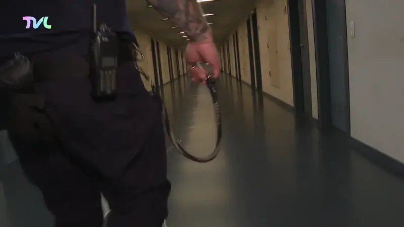 Hoofdafbeelding voor artikel TVL Nieuws, 24 januari 2026