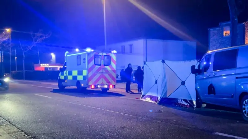 Hoofdafbeelding voor artikel 71-jarige chauffeur komt om…