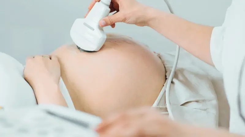 Hoofdafbeelding voor artikel Nieuw wetsvoorstel maakte…