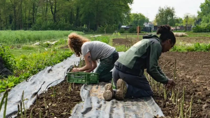 Hoofdafbeelding voor artikel Heb je een burgerproject voor…