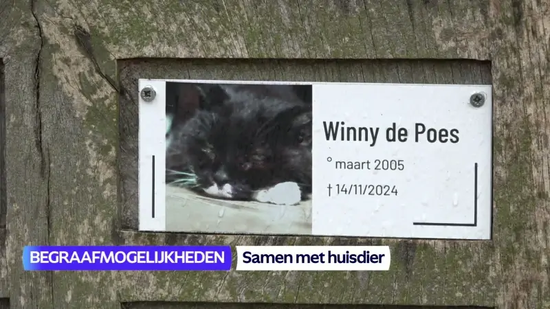 TVL Nieuws, 31 januari 2026