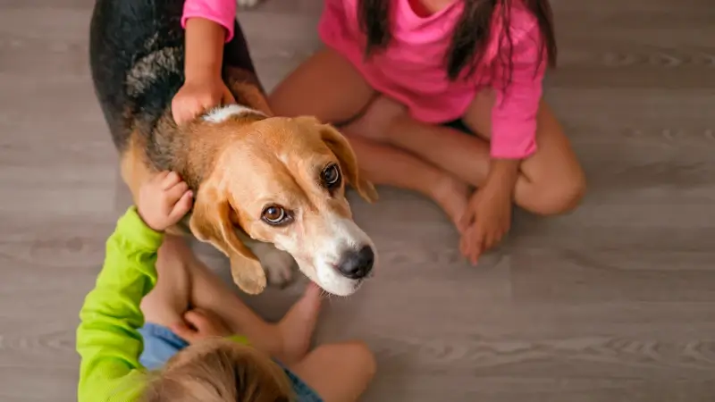 Hoofdafbeelding voor artikel Geen extra richtlijnen voor…