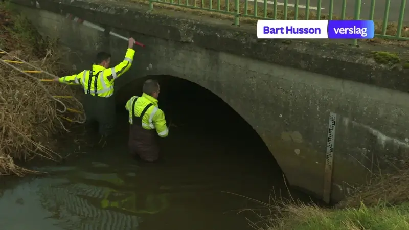 Hoofdafbeelding voor artikel Otters keren terug naar Limburg…