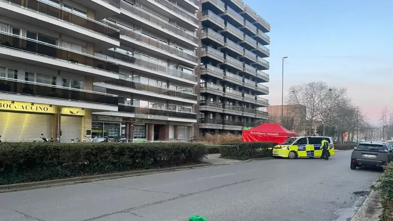 Hoofdafbeelding voor artikel Wandelaar treft levenloos…