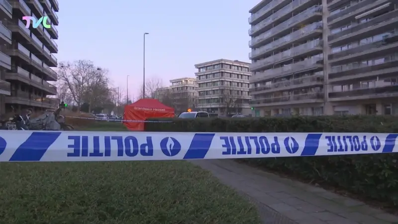 Hoofdafbeelding voor artikel Wandelaar treft levenloos…