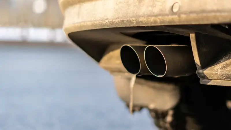 Hoofdafbeelding voor artikel Provinciale maatregel tegen…