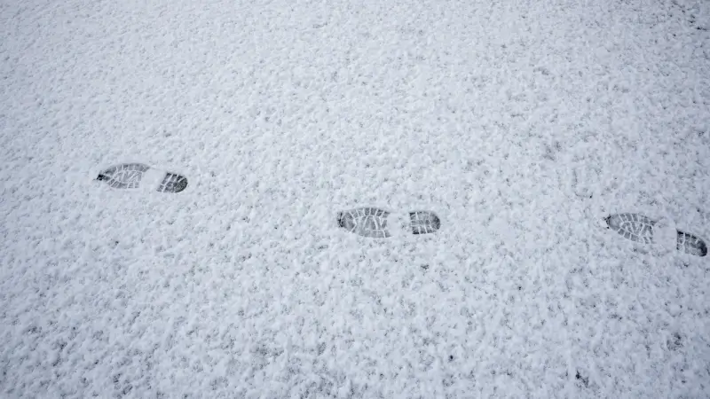 Hoofdafbeelding voor artikel Vier tot acht centimeter sneeuw…