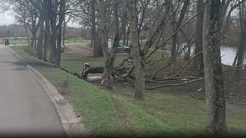 Hoofdafbeelding voor artikel Bestuurder krijgt 200 uur…