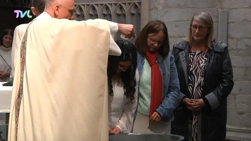 Hoofdafbeelding voor artikel Aantal volwassen dopelingen…