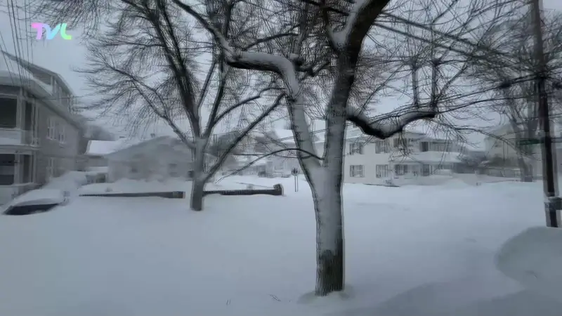 Hoofdafbeelding voor artikel Limburgse Alicia Bens aan…