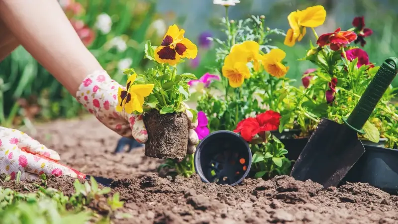 Hoofdafbeelding voor artikel Politiezone LaMa stelt inwoners…