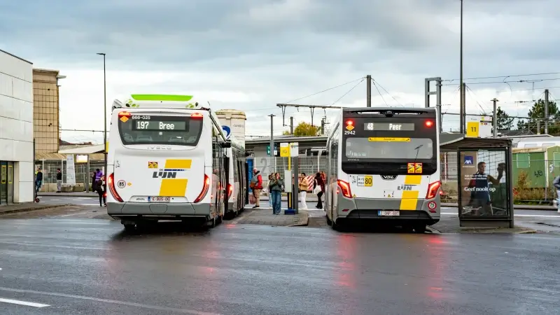 Hoofdafbeelding voor artikel Bus Hasselt-Maasland mogelijk…