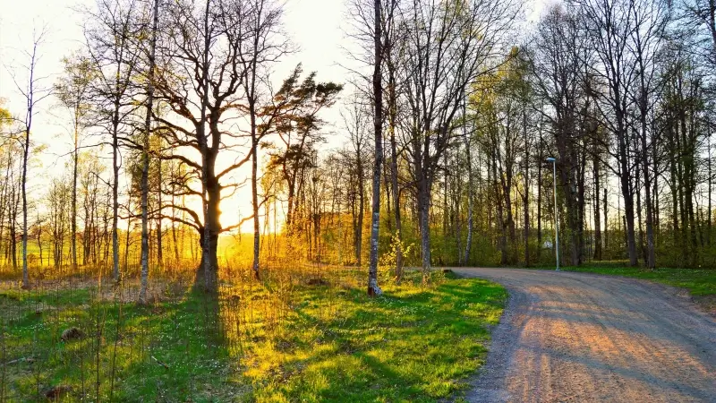 Hoofdafbeelding voor artikel Lentezon gaat volop schijnen…