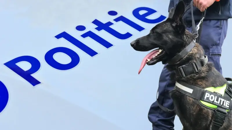 Hoofdafbeelding voor artikel Politiehond Bo na negen jaar…