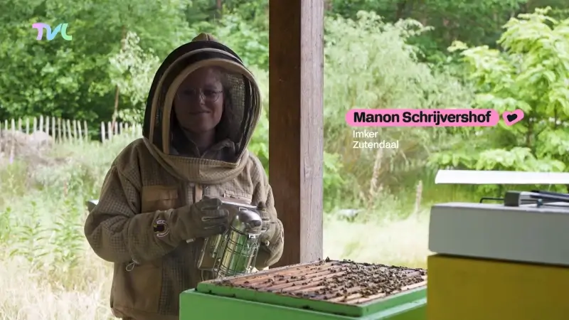 Limburg daz een zij - Manon Schrijvershof