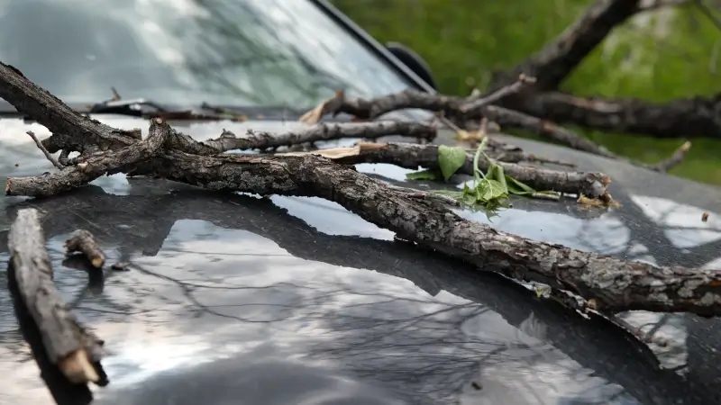 Hoofdafbeelding voor artikel Hevige regenval en felle wind:…