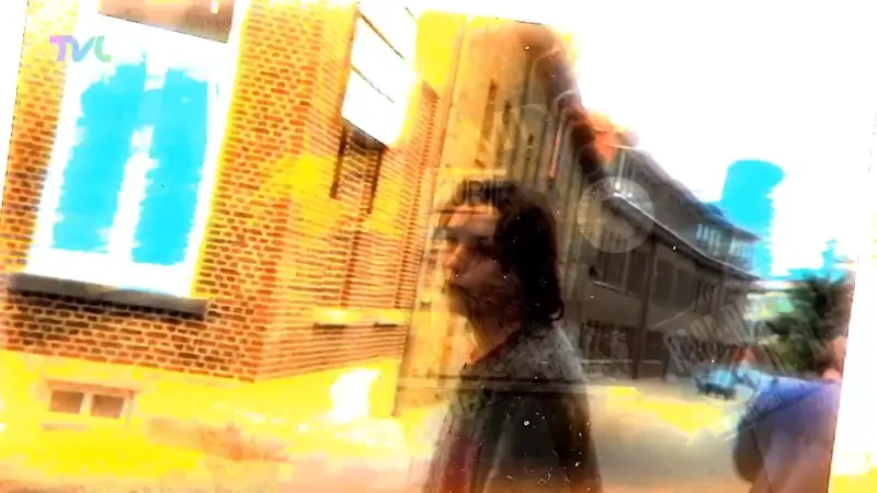 Hoofdafbeelding voor artikel Hasselaar Wouter Thijssen…