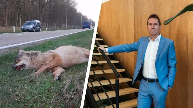 Hoofdafbeelding voor artikel Vlaams minister Jo Brouns…