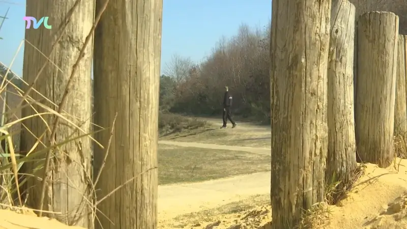 Hoofdafbeelding voor artikel Nationaal Park Hoge Kempen…